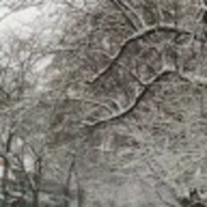 Meet your Posher, Charlotte